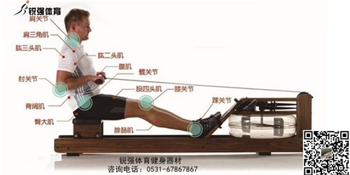 劃船機(jī)和跑步機(jī)哪個鍛煉更有效