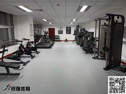 濟(jì)南某集團(tuán)采購(gòu)的銳強(qiáng)體育提供的健身器材